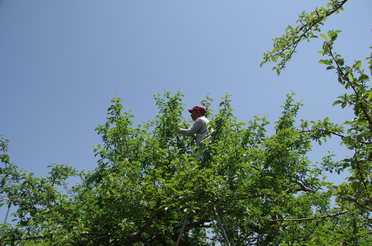 b0062024_21114191.jpg
