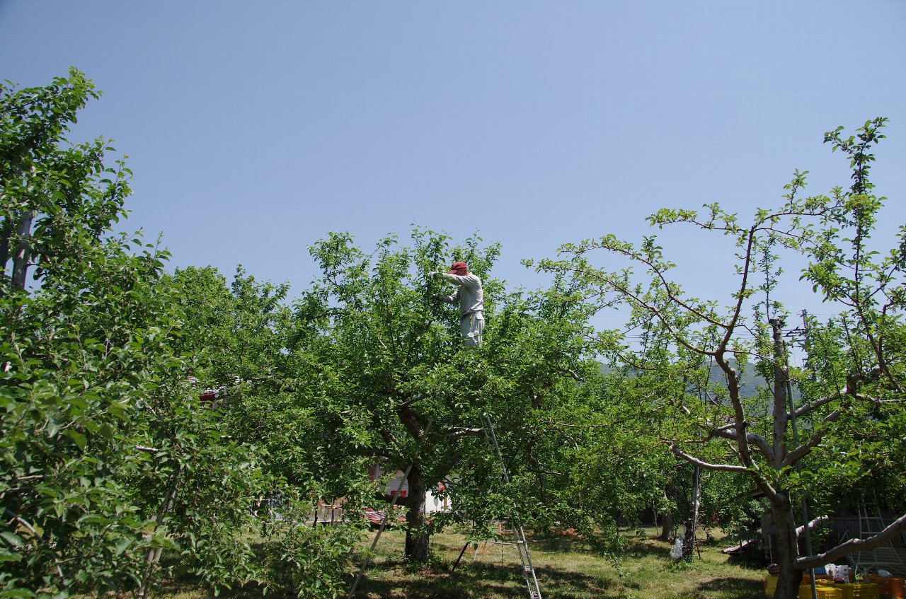 b0062024_21115315.jpg