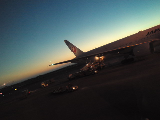 d0008724_10533338.jpg
