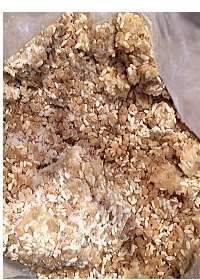 e0090926_22051520.jpg