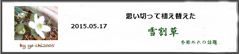 e0033229_21125626.jpg