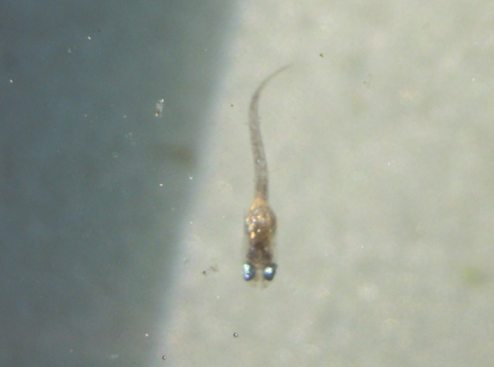 e0097534_16104070.jpg