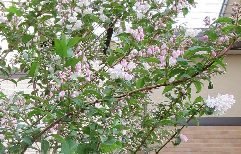 b0301236_22275822.jpg