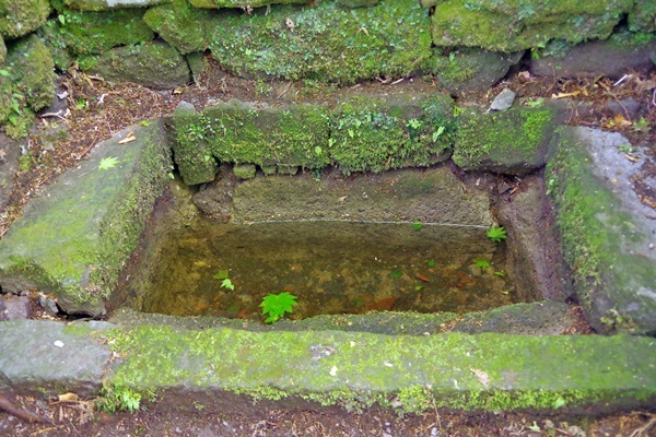 b0312736_21394818.jpg