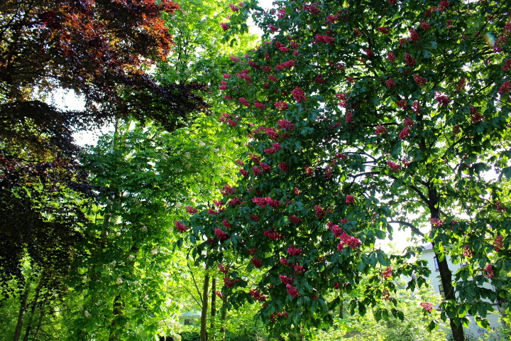 c0153740_2301943.jpg