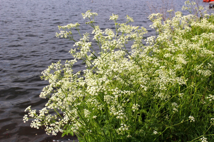 c0153740_2313050.jpg