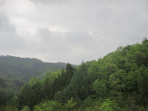 d0154344_1734543.jpg