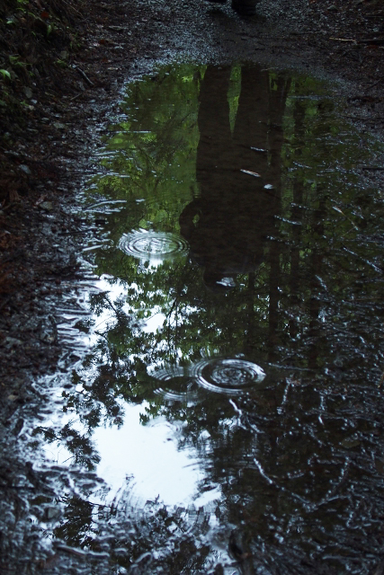 e0039744_19184120.jpg