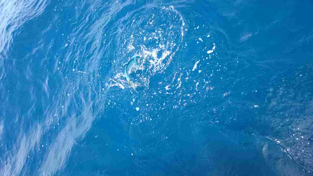 a0248152_17352185.jpg