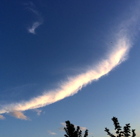 b0173754_03465243.jpg