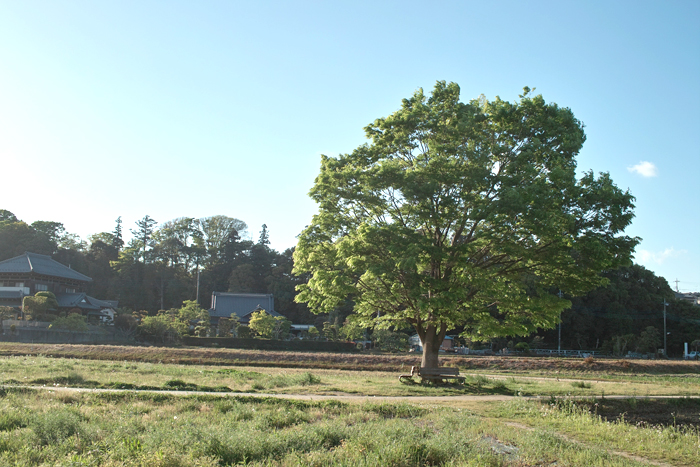 f0206356_832158.jpg