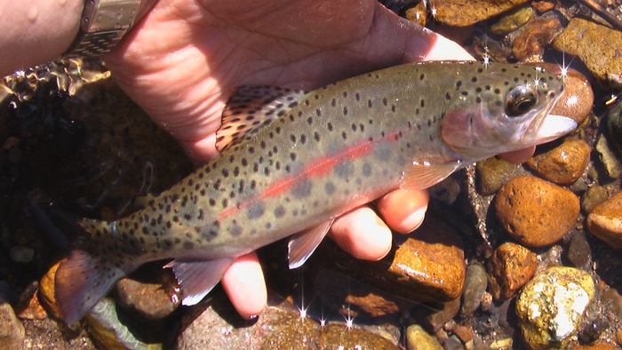 b0208961_17321092.jpg