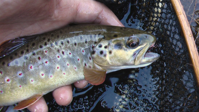 b0208961_1734530.jpg
