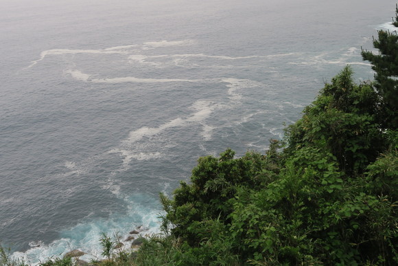 e0292172_20543978.jpg