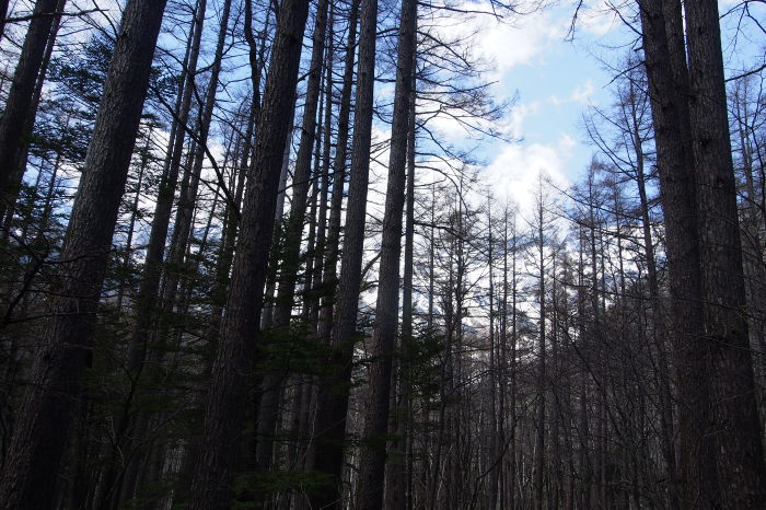 e0307372_21004400.jpg