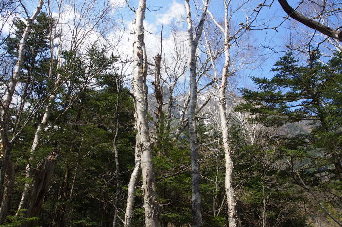 e0307372_21031701.jpg