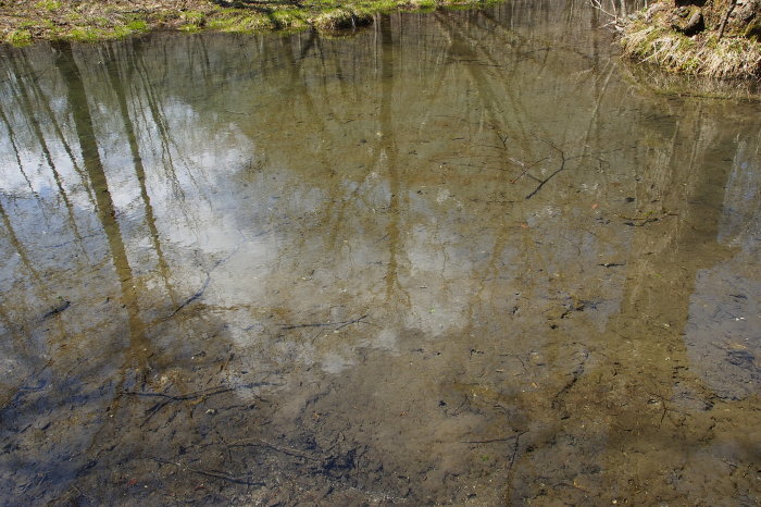 e0307372_21143441.jpg
