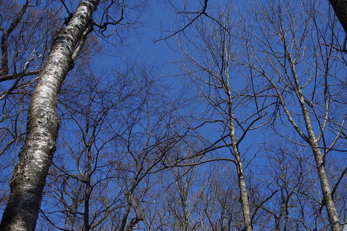 e0307372_21400199.jpg