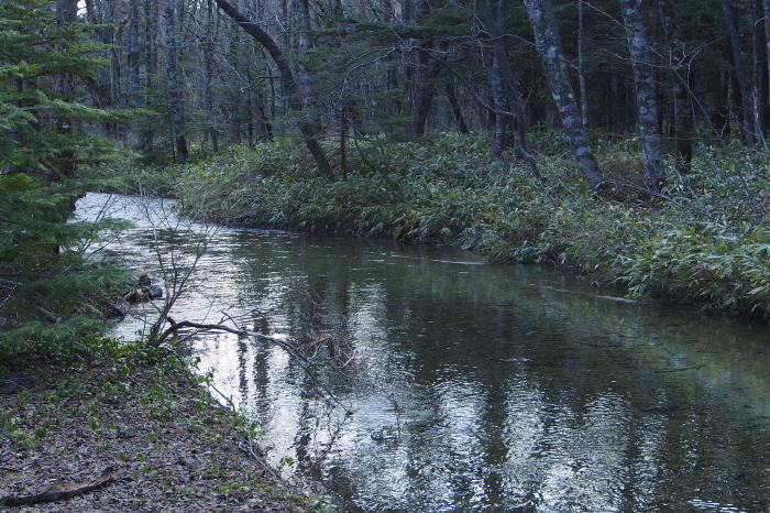 e0307372_22151012.jpg