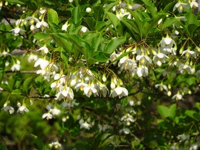 f0233876_20353083.jpg