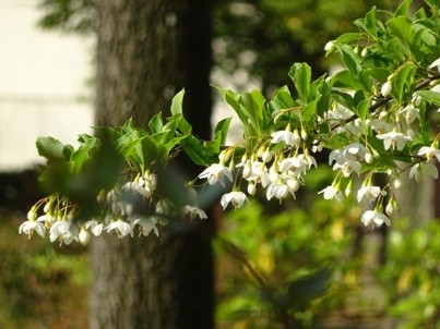 f0233876_20361005.jpg