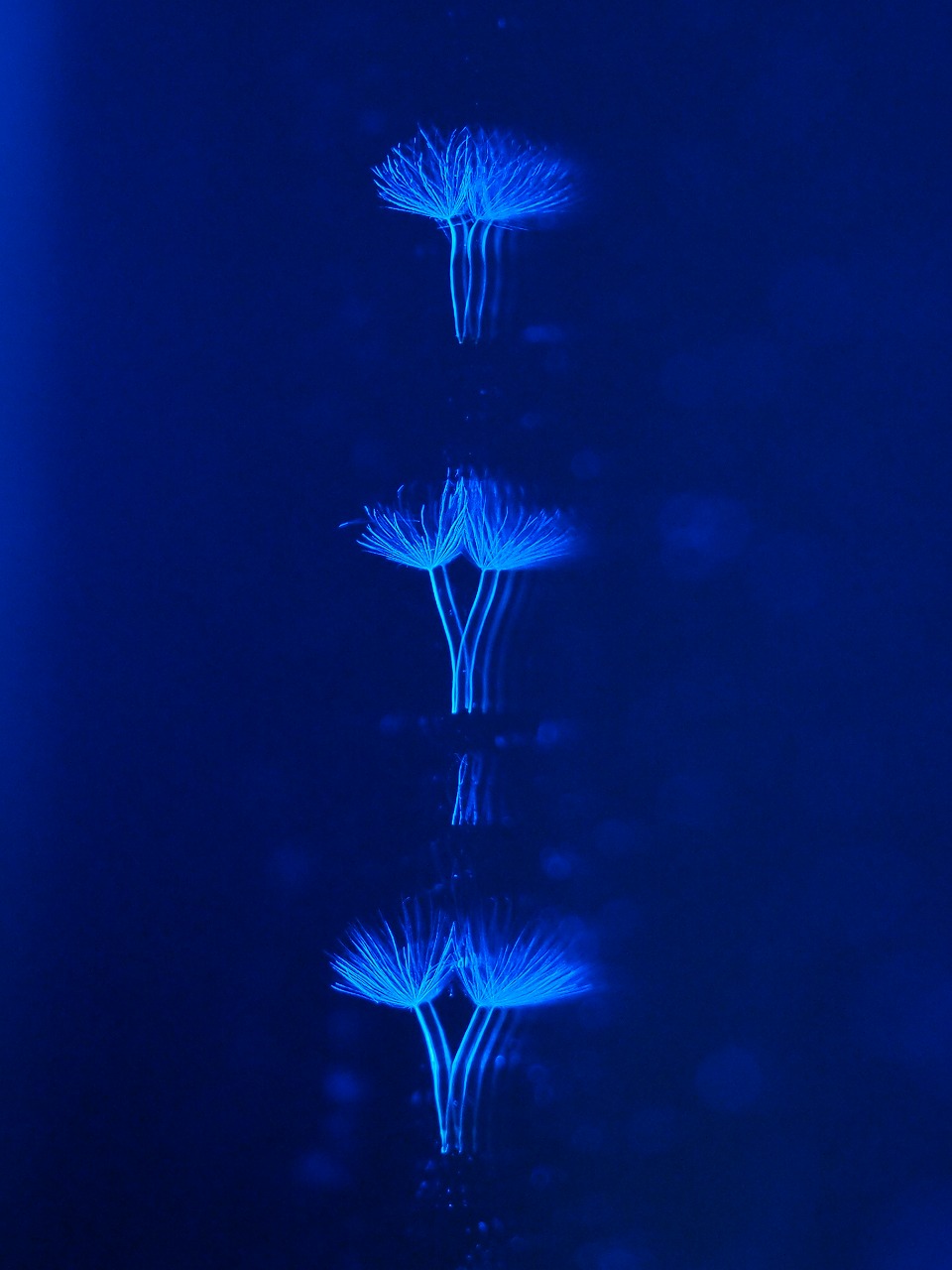 c0355778_2158843.jpg