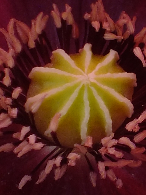 e0145782_19213344.jpg