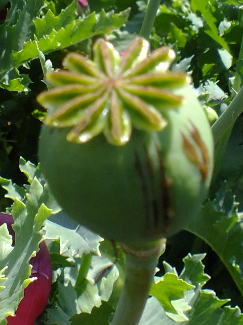 e0145782_1922461.jpg