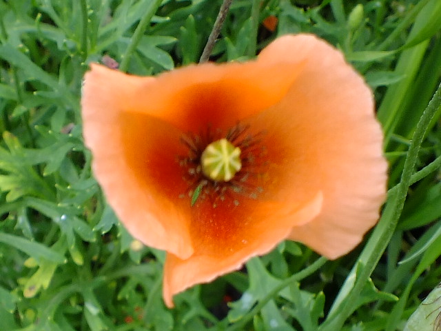 e0145782_19345244.jpg