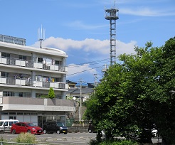 e0130185_155122.jpg