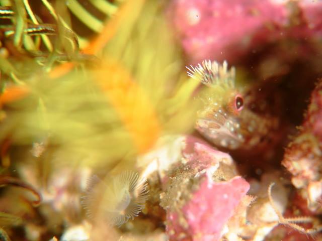 f0151886_1831932.jpg
