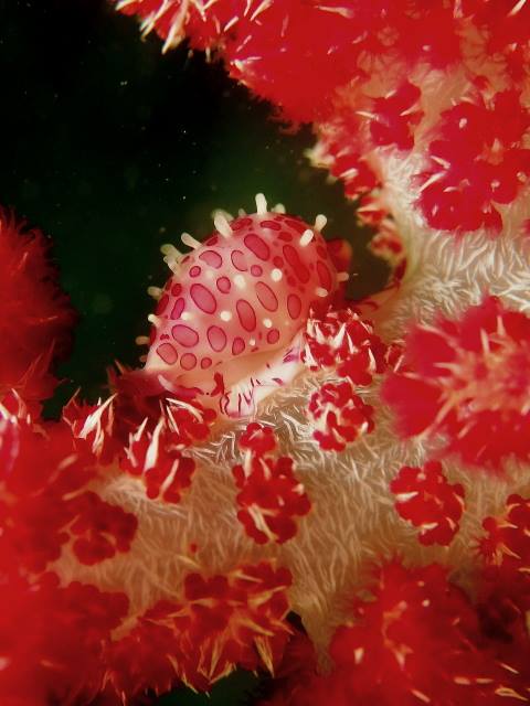 f0151886_18333364.jpg