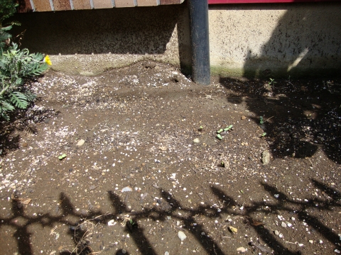 c0322794_1562493.jpg