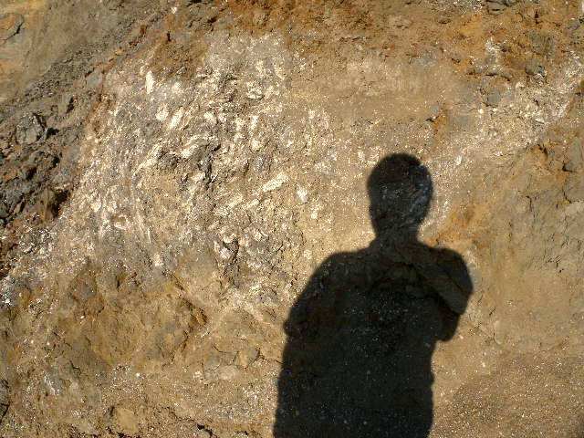 a0199297_20163395.jpg