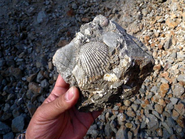a0199297_2025819.jpg