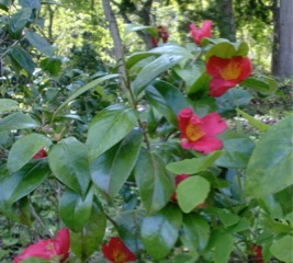 c0151898_20312296.jpg