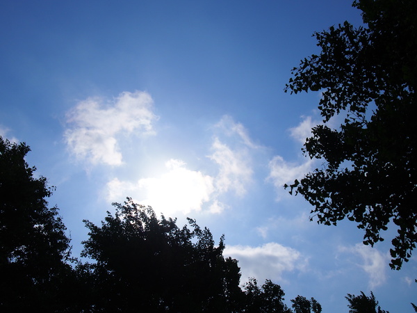 d0293002_22553169.jpg