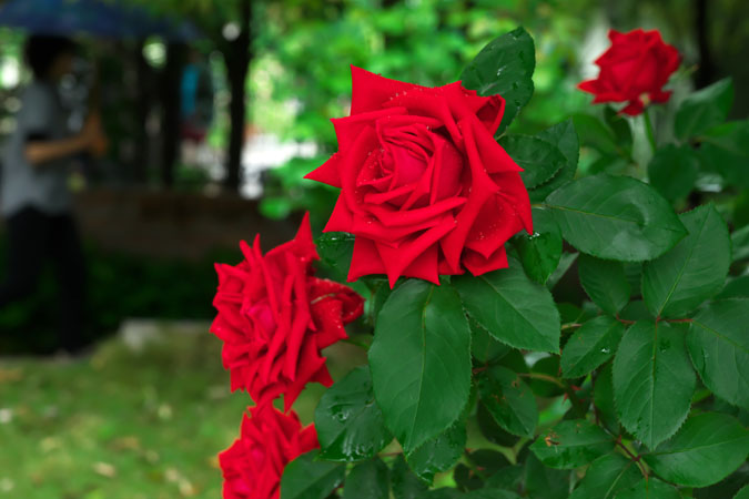 a0263109_20322100.jpg