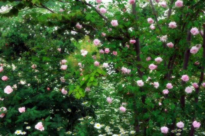 a0263109_20414196.jpg