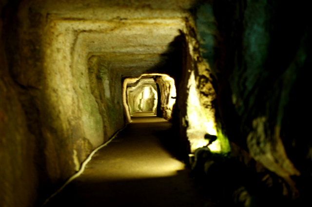 e0046212_1353016.jpg