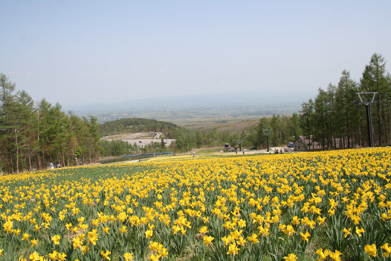 e0244621_10224173.jpg
