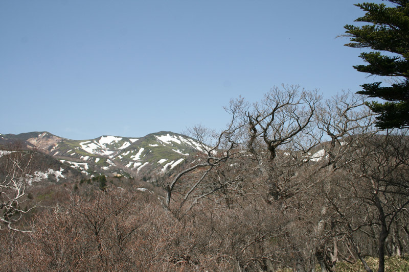 e0244621_10232566.jpg