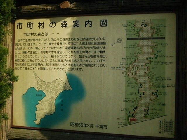 c0236527_14131678.jpg