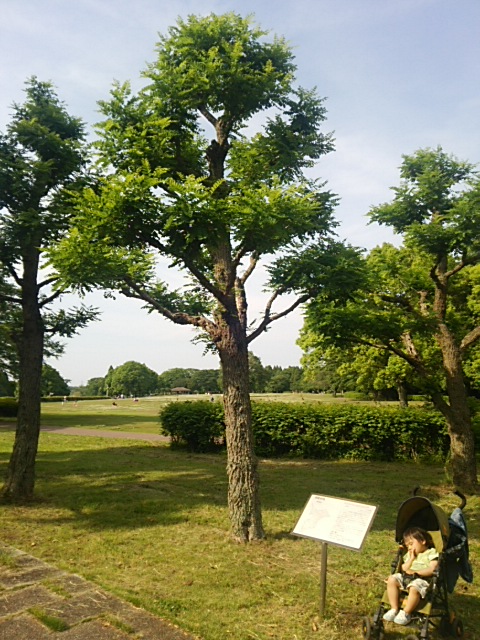 c0236527_14132931.jpg