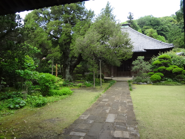 f0148927_20254455.jpg