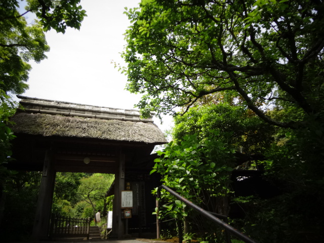 f0148927_20414812.jpg