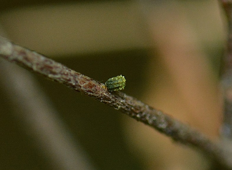 d0303129_23591421.jpg