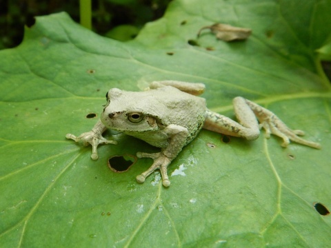 f0118332_22174795.jpg