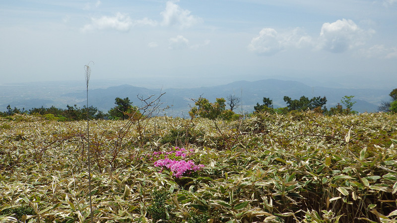 e0305733_4593591.jpg