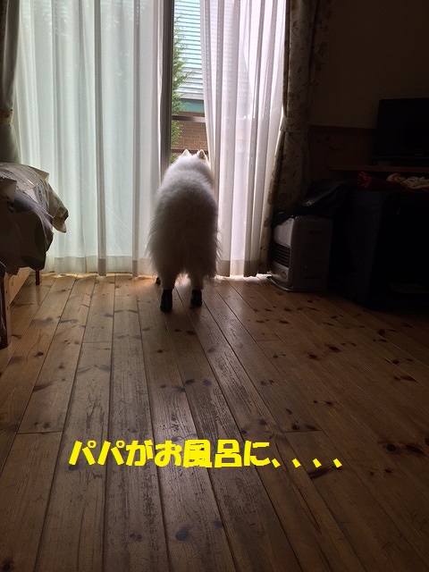e0196135_20254511.jpg